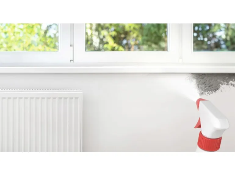 Alpina Schimmel-Entferner Bad & Küche Chlorfrei 500 ml