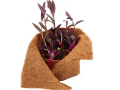 Aquagart 8m Kokosmatte Winterschutz Böschungsmatte Kokosfasermatte 800g/m² 0,25m Breit