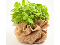 Aquagart 20m x 1m Jutegewebe 215g/m² Jutematte Gartenjute Jute Stoff Sackleinen Juteband