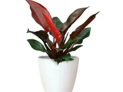 Artevasi Übertopf San Remo Ø 18 cm Weiß