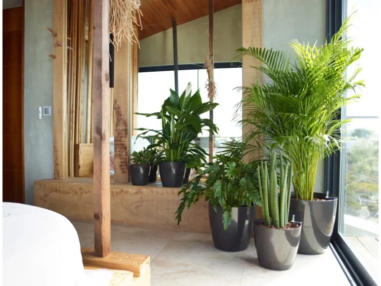 Artevasi Übertopf San Remo Ø 12 cm Weiß