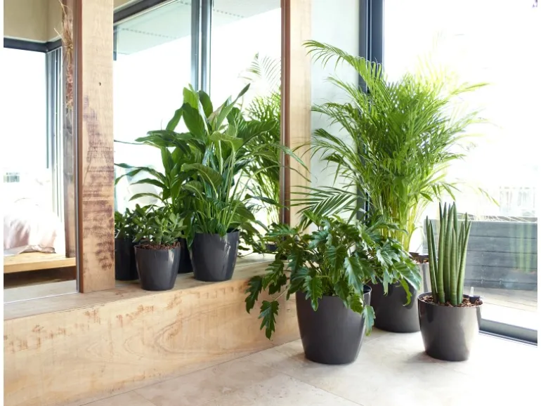 Artevasi Übertopf San Remo Ø 25 cm Weiß