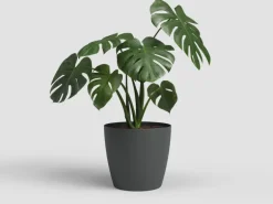 Artevasi Übertopf San Remo Ø 42 cm Anthrazit Matt