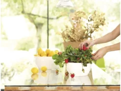 Artevasi Schale San Remo Ø 32 cm Weiß