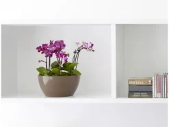 Artevasi Schale San Remo Ø 32 cm Weiß