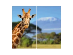 Banjado Herdabdeckplatte Glas 2 Teilig Je 30x52CM Schneidebrett Herdabdeckung Mit Motiv Miss Kilimandscharo