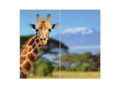 Banjado Herdabdeckplatte Glas 2 Teilig Je 30x52CM Schneidebrett Herdabdeckung Mit Motiv Miss Kilimandscharo