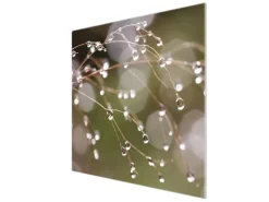 Banjado Herdabdeckplatte Glas 1 Teilig 60x52CM Schneidebrett Herdabdeckung Mit Motiv Tau Auf Zweigen