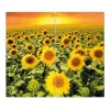 Banjado Herdabdeckplatte Glas 2 Teilig Je 30x52CM Schneidebrett Herdabdeckung Mit Motiv Sonnenblumenmeer