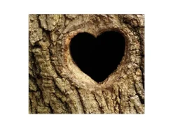 Banjado Herdabdeckplatte Glas 1 Teilig 60x52CM Schneidebrett Herdabdeckung Mit Motiv Baumherz