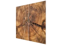 Banjado Herdabdeckplatte Glas 2 Teilig Je 30x52CM Schneidebrett Herdabdeckung Mit Motiv Jahresringe