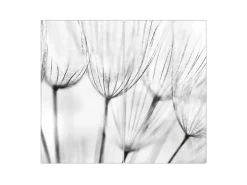 Banjado Herdabdeckplatte Glas 2 Teilig Je 30x52CM Schneidebrett Herdabdeckung Mit Motiv Pusteblumen Sw