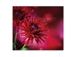 Banjado Herdabdeckplatte Glas 1 Teilig 60x52CM Schneidebrett Herdabdeckung Mit Motiv Rote Dahlien