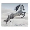 Banjado Herdabdeckplatte Glas 1 Teilig 60x52CM Schneidebrett Herdabdeckung Mit Motiv Wildes Pferd