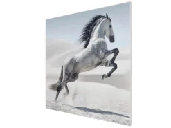 Banjado Herdabdeckplatte Glas 1 Teilig 60x52CM Schneidebrett Herdabdeckung Mit Motiv Wildes Pferd