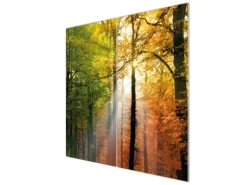 Banjado Herdabdeckplatte Glas 2 Teilig Je 30x52CM Schneidebrett Herdabdeckung Mit Motiv Herbstwald