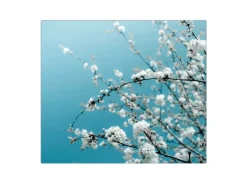 Banjado Herdabdeckplatte Glas 1 Teilig 60x52CM Schneidebrett Herdabdeckung Mit Motiv Weiße Kirschblüten