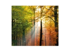 Banjado Herdabdeckplatte Glas 1 Teilig 60x52CM Schneidebrett Herdabdeckung Mit Motiv Herbstwald