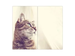 Banjado Herdabdeckplatte Glas 2 Teilig Je 30x52CM Schneidebrett Herdabdeckung Mit Motiv Holgerson