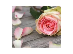 Banjado Herdabdeckplatte Glas 1 Teilig 60x52CM Schneidebrett Herdabdeckung Mit Motiv Rosa Rose