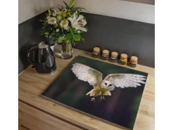 Banjado Herdabdeckplatte Glas 1 Teilig 60x52CM Schneidebrett Herdabdeckung Mit Motiv Schleiereule