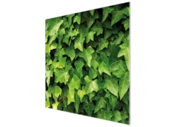 Banjado Herdabdeckplatte Glas 1 Teilig 60x52CM Schneidebrett Herdabdeckung Mit Motiv Efeu