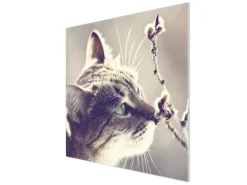 Banjado Herdabdeckplatte Glas 1 Teilig 60x52CM Schneidebrett Herdabdeckung Mit Motiv Weidenkätzchen