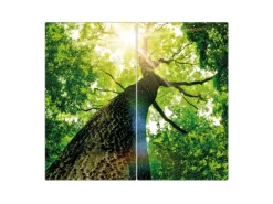 Banjado Herdabdeckplatte Glas 2 Teilig Je 30x52CM Schneidebrett Herdabdeckung Mit Motiv Baumkrone