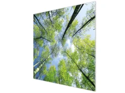 Banjado Herdabdeckplatte Glas 1 Teilig 60x52CM Schneidebrett Herdabdeckung Mit Motiv Zwischen Bäumen 3