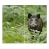 Banjado Herdabdeckplatte Glas 2 Teilig Je 30x52CM Schneidebrett Herdabdeckung Mit Motiv Wildschwein
