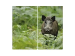 Banjado Herdabdeckplatte Glas 2 Teilig Je 30x52CM Schneidebrett Herdabdeckung Mit Motiv Wildschwein