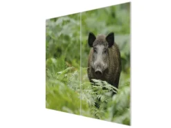 Banjado Herdabdeckplatte Glas 2 Teilig Je 30x52CM Schneidebrett Herdabdeckung Mit Motiv Wildschwein