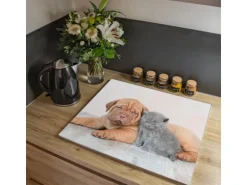 Banjado Herdabdeckplatte Glas 1 Teilig 60x52CM Schneidebrett Herdabdeckung Mit Motiv Hund Und Katze