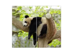 Banjado Herdabdeckplatte Glas 2 Teilig Je 30x52CM Schneidebrett Herdabdeckung Mit Motiv Panda