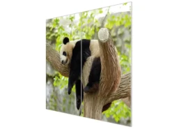 Banjado Herdabdeckplatte Glas 2 Teilig Je 30x52CM Schneidebrett Herdabdeckung Mit Motiv Panda