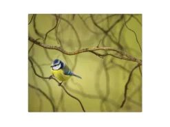 Banjado Herdabdeckplatte Glas 1 Teilig 60x52CM Schneidebrett Herdabdeckung Mit Motiv Blaumeise Im Baum