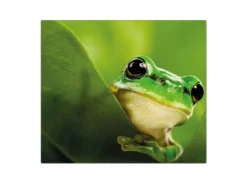 Banjado Herdabdeckplatte Glas 1 Teilig 60x52CM Schneidebrett Herdabdeckung Mit Motiv Frosch