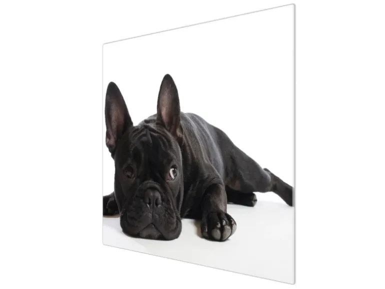 Banjado Herdabdeckplatte Glas 1 Teilig 60x52CM Schneidebrett Herdabdeckung Mit Motiv Bulldogge