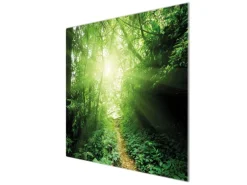 Banjado Herdabdeckplatte Glas 1 Teilig 60x52CM Schneidebrett Herdabdeckung Mit Motiv Dschungel Malaysia