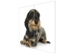 Banjado Herdabdeckplatte Glas 2 Teilig Je 30x52CM Schneidebrett Herdabdeckung Mit Motiv Dackel