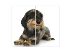 Banjado Herdabdeckplatte Glas 2 Teilig Je 30x52CM Schneidebrett Herdabdeckung Mit Motiv Dackel