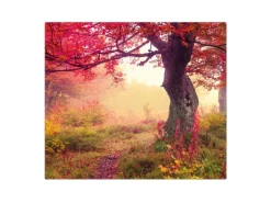 Banjado Herdabdeckplatte Glas 1 Teilig 60x52CM Schneidebrett Herdabdeckung Mit Motiv Lichtung Im Herbst