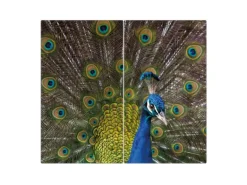 Banjado Herdabdeckplatte Glas 2 Teilig Je 30x52CM Schneidebrett Herdabdeckung Mit Motiv Pfau