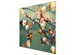 Banjado Herdabdeckplatte Glas 1 Teilig 60x52CM Schneidebrett Herdabdeckung Mit Motiv Japankirsche