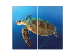 Banjado Herdabdeckplatte Glas 2 Teilig Je 30x52CM Schneidebrett Herdabdeckung Mit Motiv Wasserschildkröte