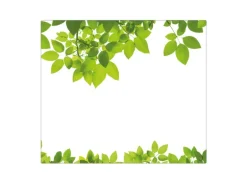 Banjado Herdabdeckplatte Glas 1 Teilig 60x52CM Schneidebrett Herdabdeckung Mit Motiv Rahmen Blätter