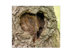 Banjado Herdabdeckplatte Glas 2 Teilig Je 30x52CM Schneidebrett Herdabdeckung Mit Motiv Altes Herz