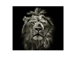 Banjado Herdabdeckplatte Glas 1 Teilig 60x52CM Schneidebrett Herdabdeckung Mit Motiv Löwe Porträt