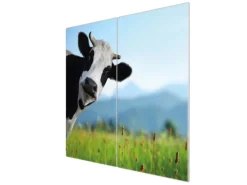 Banjado Herdabdeckplatte Glas 2 Teilig Je 30x52CM Schneidebrett Herdabdeckung Mit Motiv Neugierig