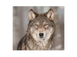 Banjado Herdabdeckplatte Glas 1 Teilig 60x52CM Schneidebrett Herdabdeckung Mit Motiv Soraya